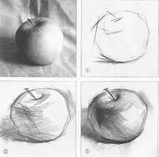 初学者素描画步骤图
