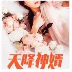 天降神婿陈黄皮叶红鱼